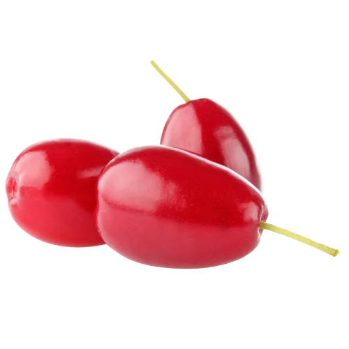 نهال زغال اخته