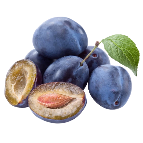 نهال شفتالو