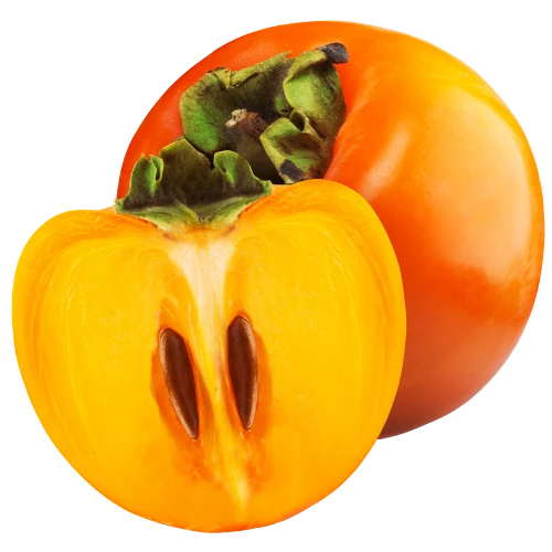 نهال خرمالو